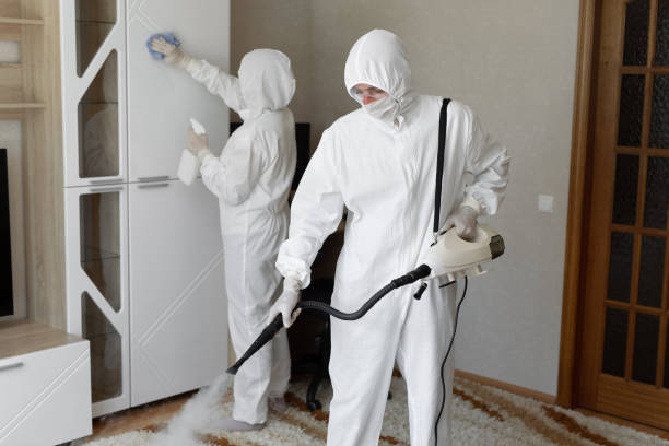 Why You Should Choose Our Mold Remediation Services in Rockwell, NC